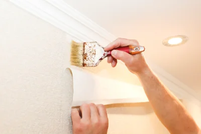 Pose de papier peint à Meilhaud — revêtements muraux et toiles de verre